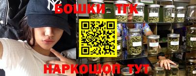 МДПВ Канаш
