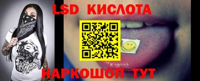 ПСИЛОЦИБИНОВЫЕ ГРИБЫ Камышлов